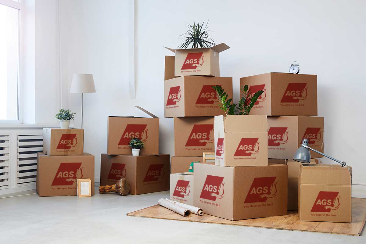 service-de-colis-ags-box