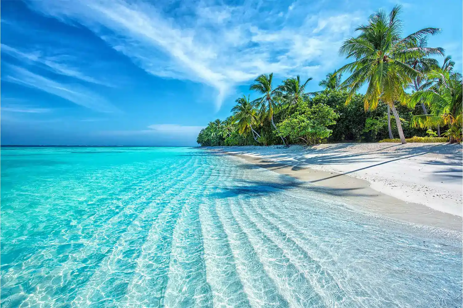 Plage tropicale sur l'île